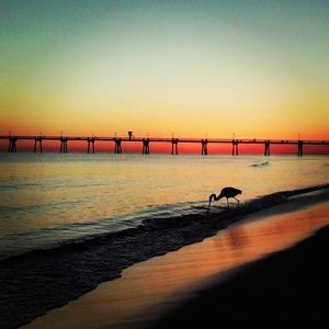 Meet your Posher, Serena